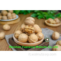 Miglior servizio Kernut Kernels Light pezzi